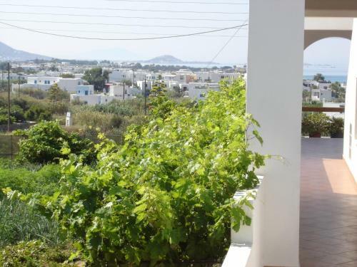 Apartamentos Dina Naxos Studios