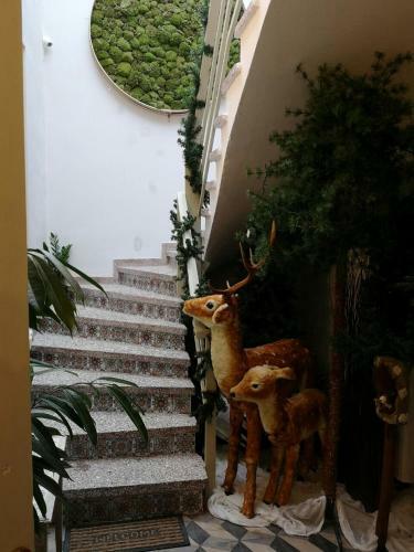 Hotel Sali
