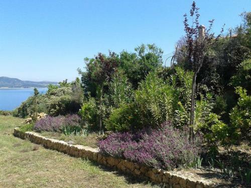 Apartamento Marvelous Sea View Eco Apt