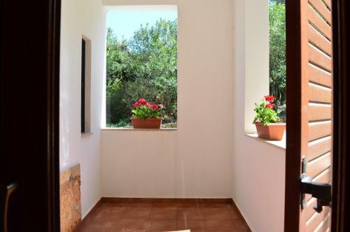 Apartamento Marvelous Sea View Eco Apt