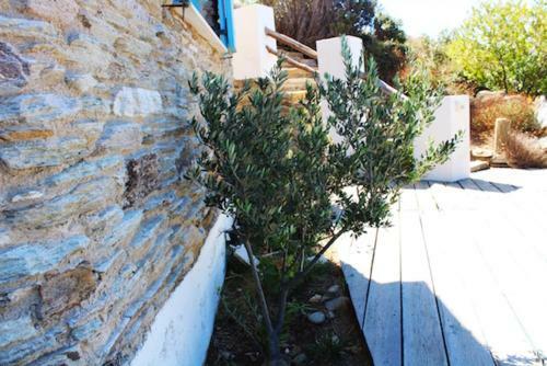 Villette Adonis Andros