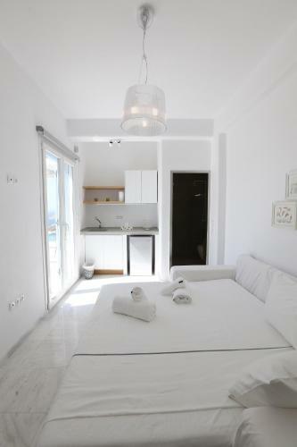 Chrysanthemo Artistic Villas