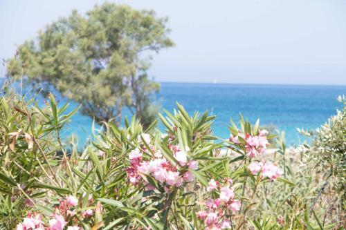 Villa Yialos