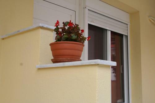 Alexandros Studios