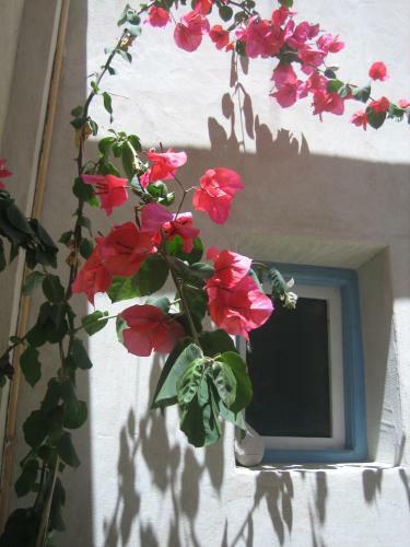 Hotel Studios Anemomilos