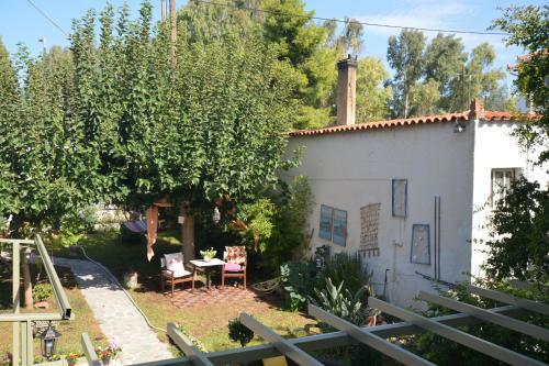 House With Big Garden