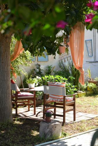 House With Big Garden