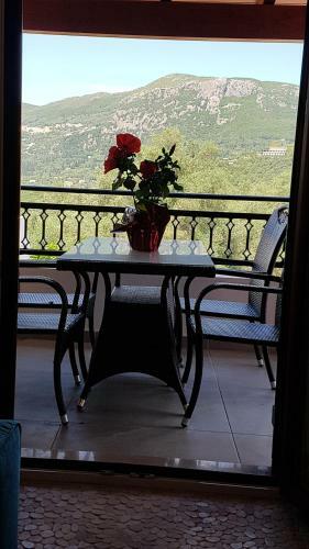 Villa Lola's House