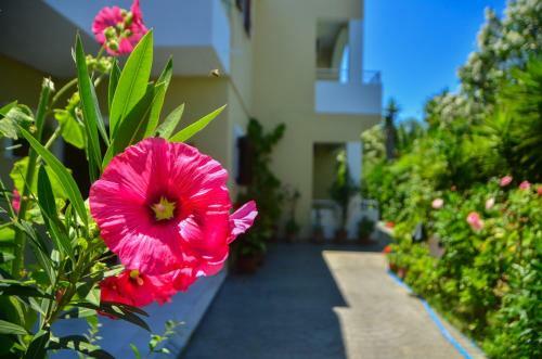Apartamento Maria Club Hotel