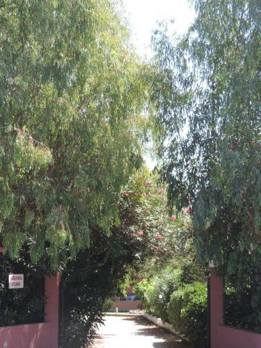 Alexandra Spingou Apartments