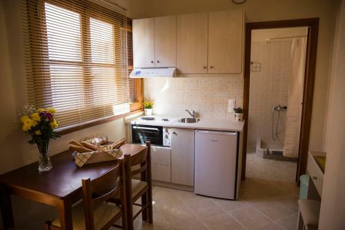Apartamento Ellanion Studios