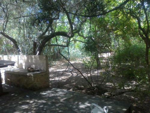 Apartamento Aegina Beach Suite