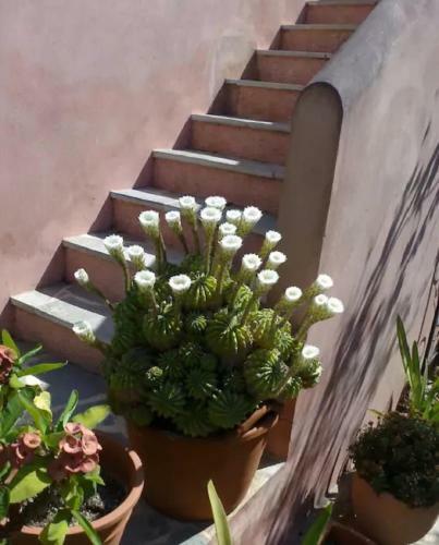 Apartamento Aegina Beach Suite