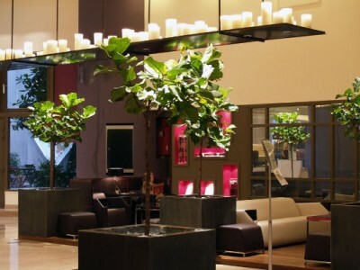 Hotel Novotel Les Halles