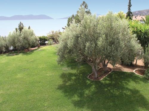 Apartamentos Soleiliosonne Haus Minos
