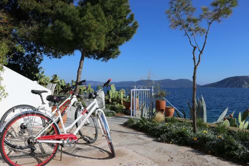 Grand Bleu Apartments&villas
