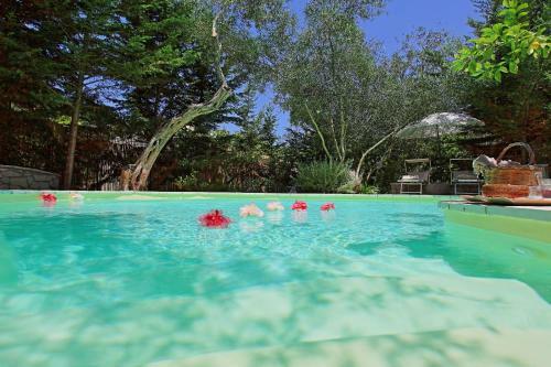 Villa Lili Luxury Cottage