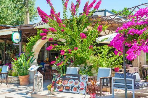 Apartamento Island Suites
