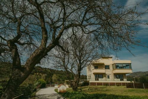 Mirsini Villa