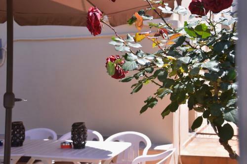 Apartamento Irini Appartments