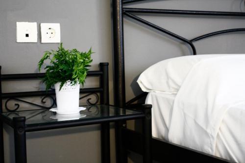 Deodonum Luxury Apartments