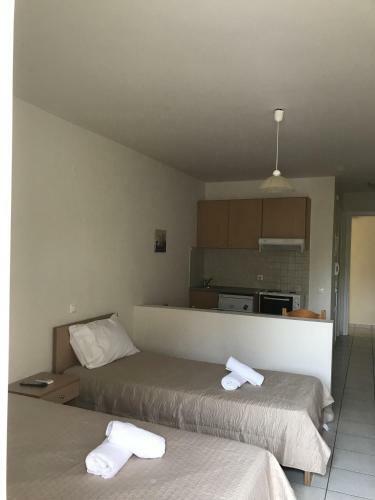 Chc Amazones Apartment - Hotel - Melanippi