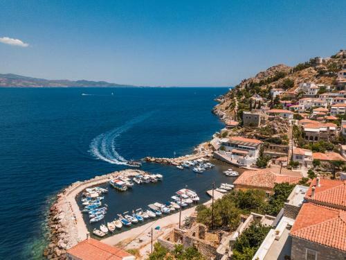 Lotus Sweet Home Hydra