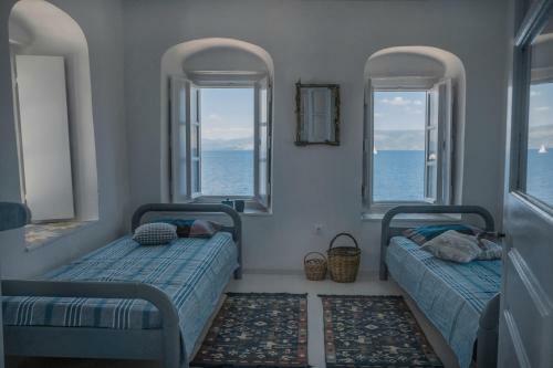 Lotus Sweet Home Hydra