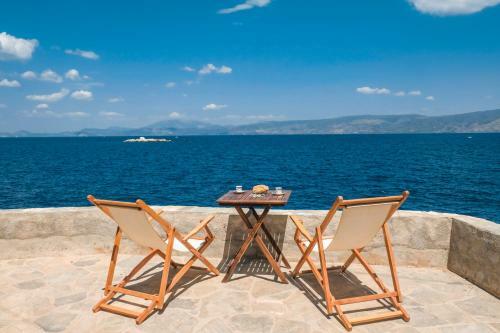 Lotus Sweet Home Hydra