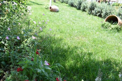 Apartamento Studio Holiday Kalamata 2