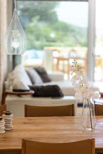 Elias Luxury Villa