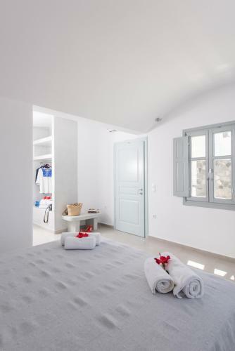 Secret Earth Villas - Santorini