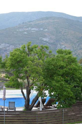 Apartamento Aligis Studios