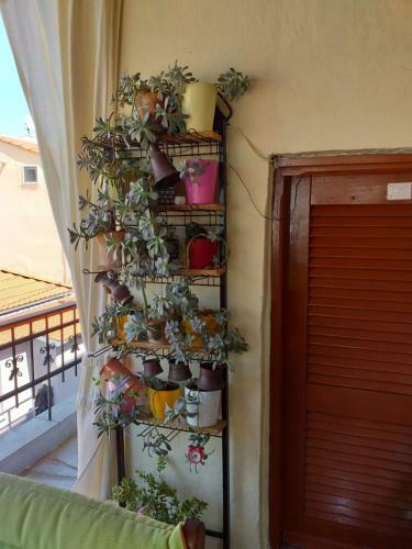 Apartamento Margarita's House