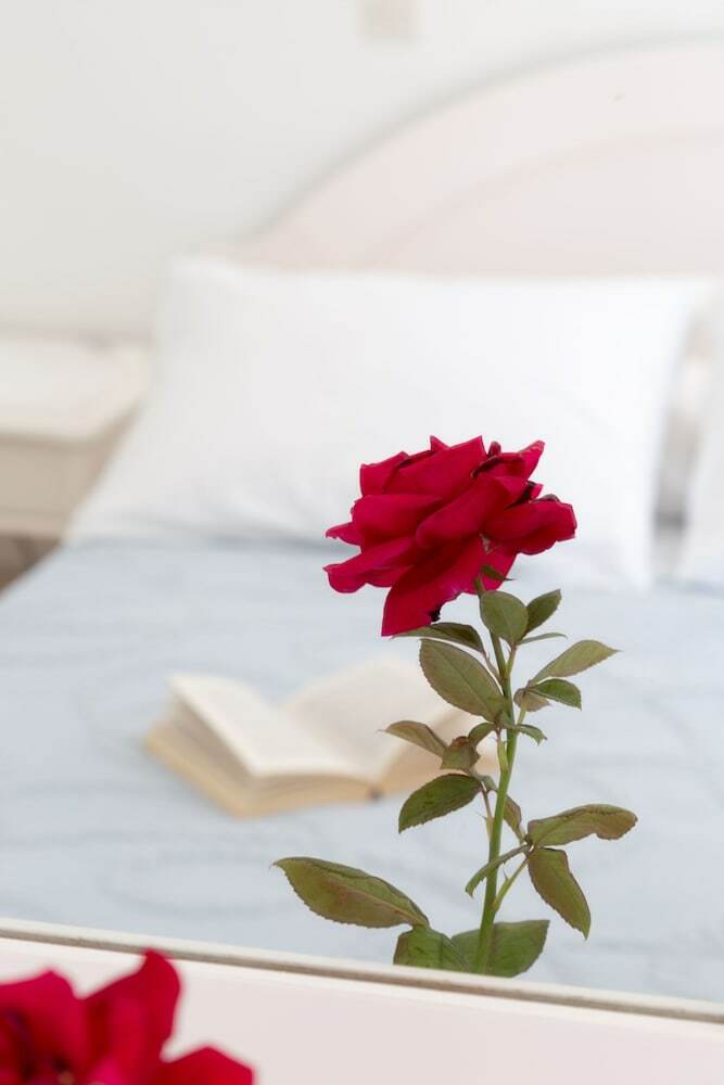 Hotel Areti