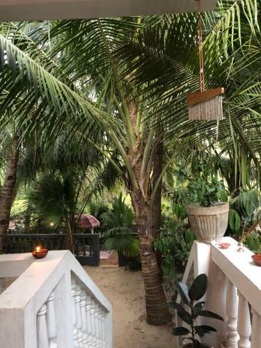 Mahi Boutique Hotel