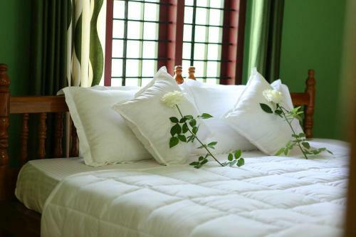 Bed & Breakfast The Pepper Suite, Wayanad
