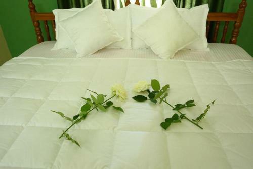 Bed & Breakfast The Pepper Suite, Wayanad