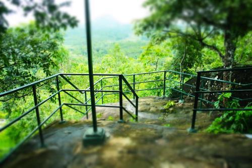 Hotel Rock Ville Resort