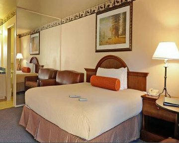 Hotel Forest Suites Resort