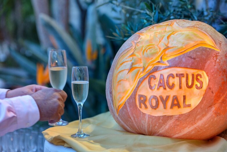 Hotel Cactus Royal