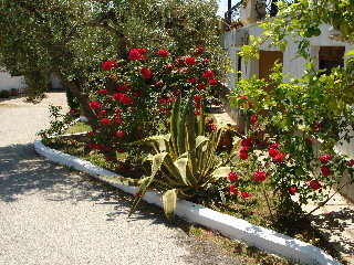 Hotel Asteris Village