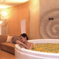 Hotel Nikko