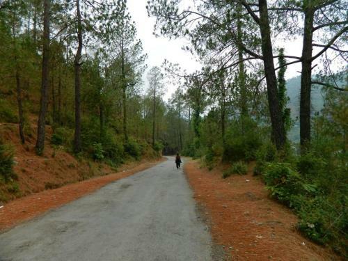 Bhowali Homestay