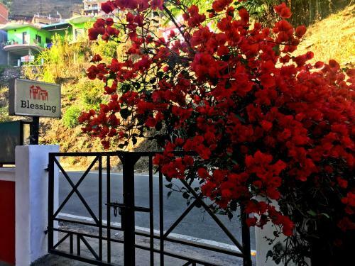 Bhowali Homestay