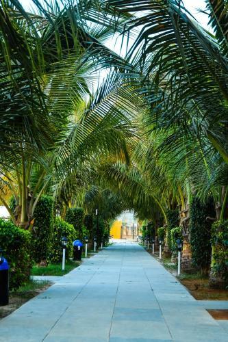 Hotel Dream Resort