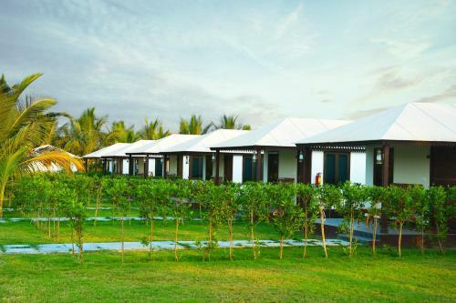 Hotel Dream Resort