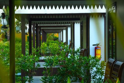 Hotel Dream Resort