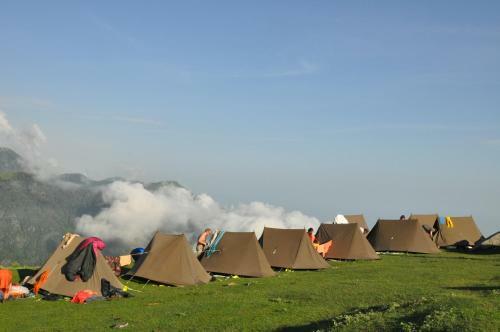 Holidaydada Triund (dharamshala) Camps