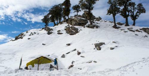 Holidaydada Triund (dharamshala) Camps